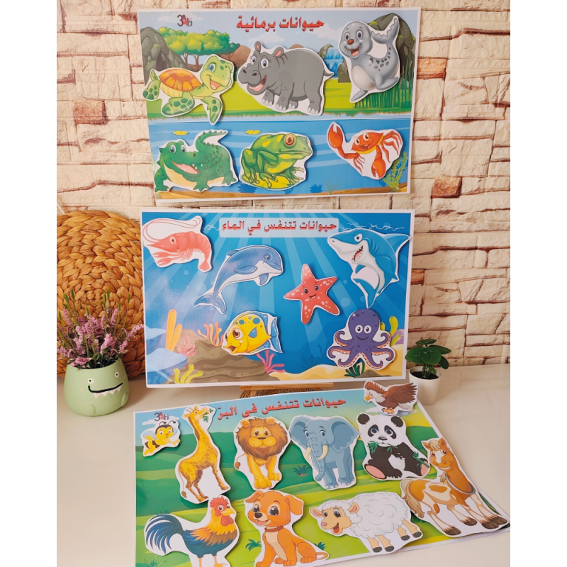 التنفس عند الحيوان