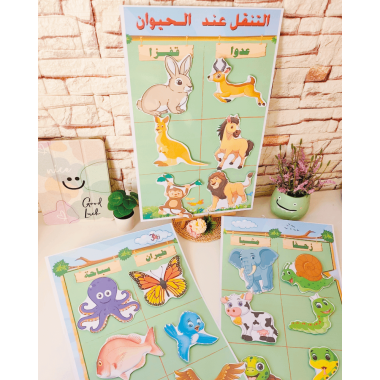 أنماط التنقل