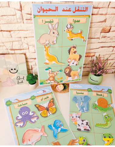 أنماط التنقل