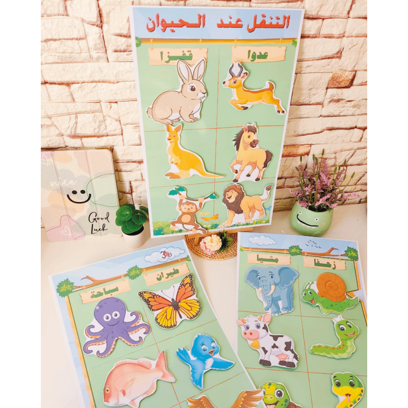 أنماط التنقل