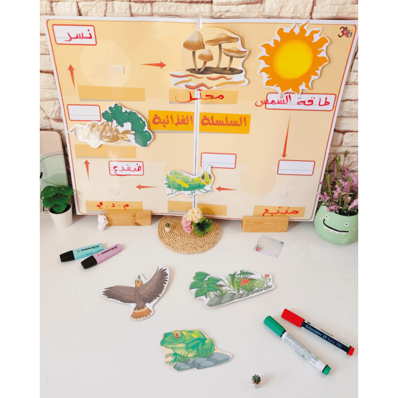 سلسلة غذائية برية