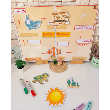 سلسلة غذائية بحرية