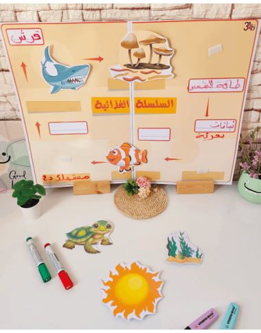 سلسلة غذائية بحرية