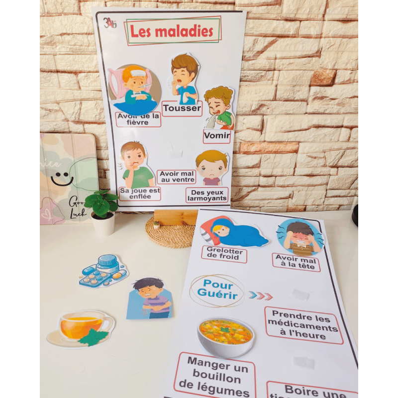 Les maladies et les soins