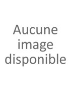 Scolaires